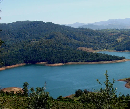 Ooty