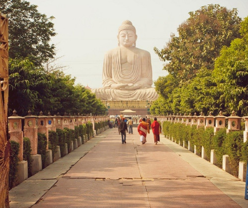   Buddhist Trail India Package