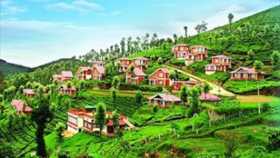 Mysore Ooty Coorg Package