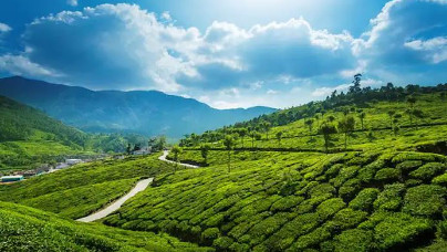 Amazing Kerala Holiday Package