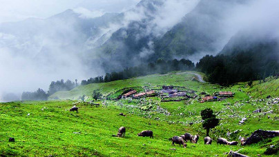 Auli & Chopta Package From Haridwar