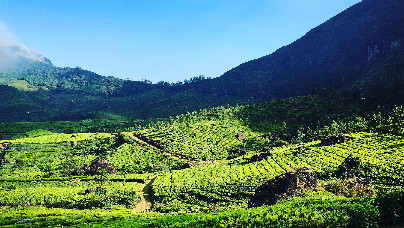 Kerala Holiday Delight Package