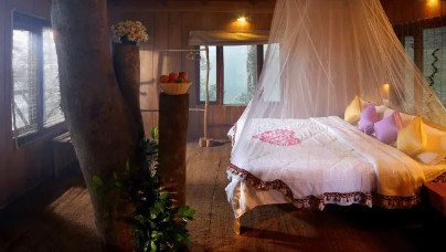  Kerala Honeymoon Delight Package