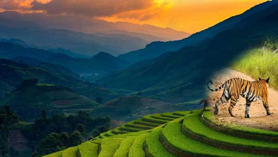 Delhi Haridwar Mussoorie Corbett Nainital Package