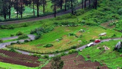 Ooty Mysore Tour Package